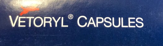 4053BFBA-D49E-4F3E-9261-624101E67653