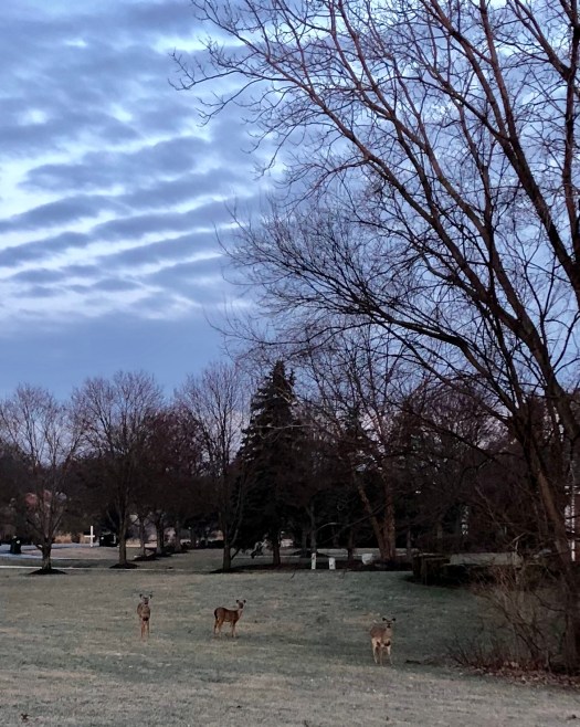 77EE3AA9-AC38-4AFF-AE5B-EA39DD2267B1