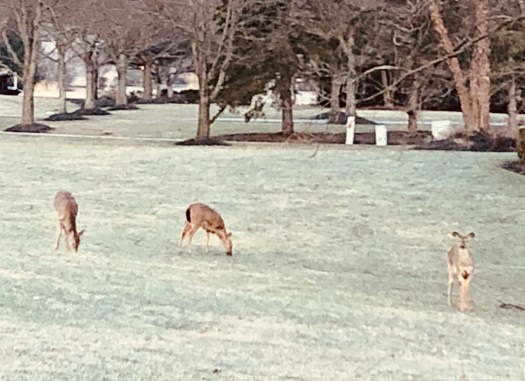 D7573F04-7861-4D32-ADC0-3CC058FBC64D