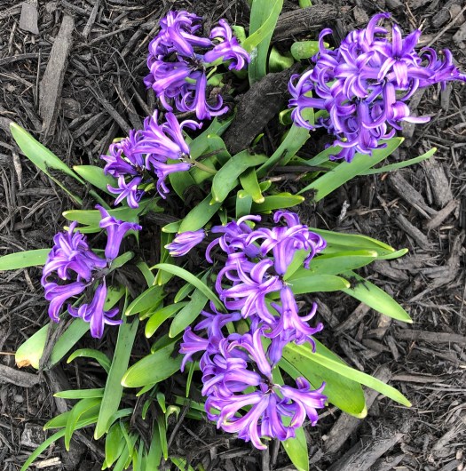 25A059CC-2008-4AE3-B4AE-960638726D06