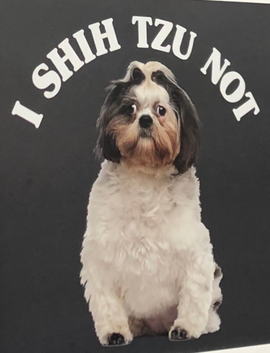 577EC84F-6DD9-4E3E-A715-ECEC405DA54F