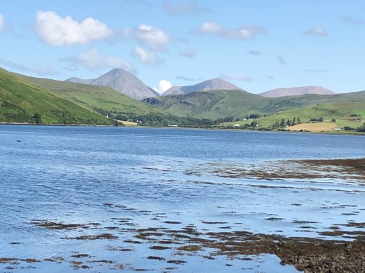 E2FF2F13-69F5-40CC-A5BA-5E2A36A0927D