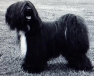 4EEB7278-F108-4C20-9EA9-151AF6657225