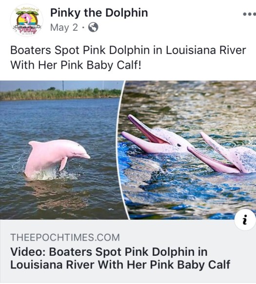 266B9ED1-4DDA-4C13-945E-60A4F21A4F50