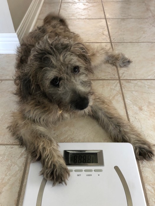 254CB3AA-588A-4939-8200-71957AAD8A51