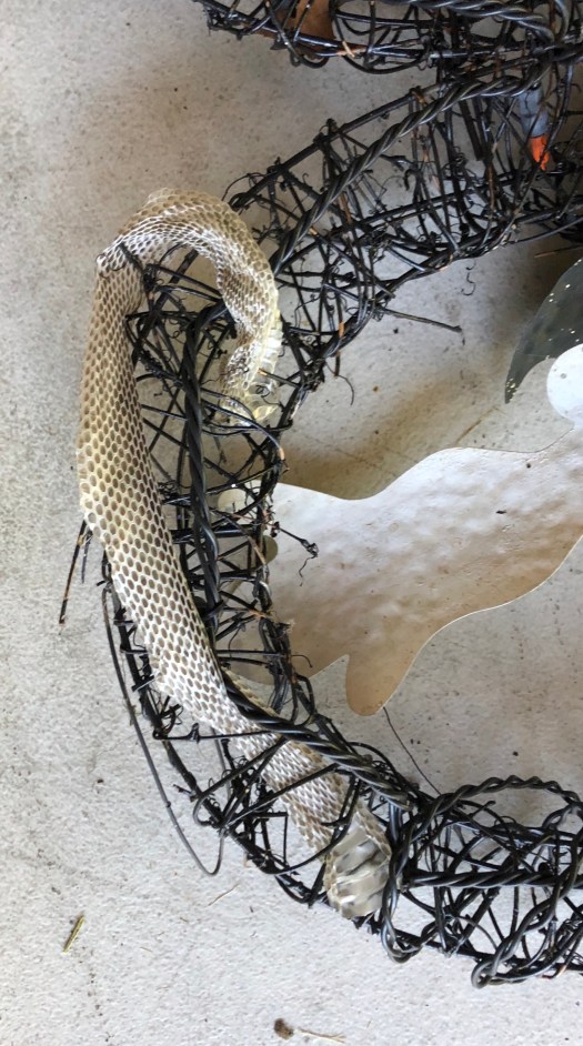 A61DD600-B7D8-4854-91B6-99DEB42A6956