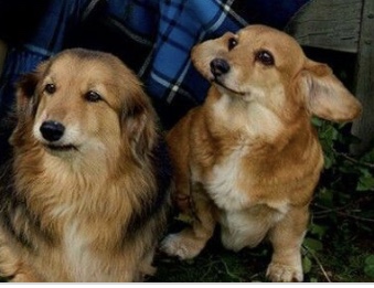 31CD6C2E-CCA0-4AF1-90F7-8A9783B6EB36