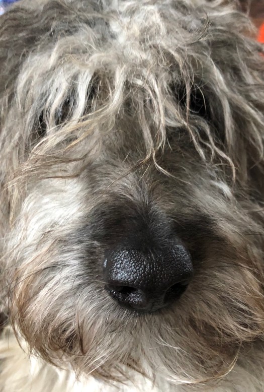 431264A0-74FC-4BA3-9459-828620146168