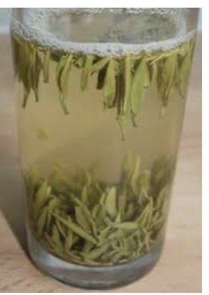 570264FE-5A6F-495F-A2FF-6E38C73BA013