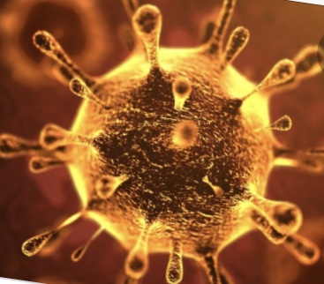 5A7BAE1A-350A-4386-BDEF-DE2C7F65AB53