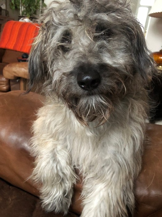 7120DA0A-EC7C-4CD4-B0CA-7DFDEDA01376