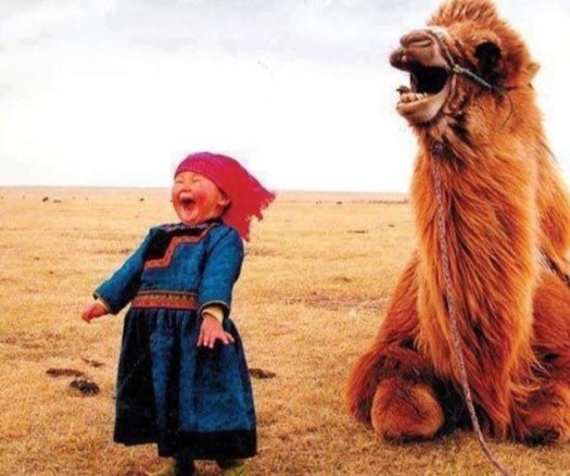 71893CA9-EBFC-45A2-8145-3E487FC6F753