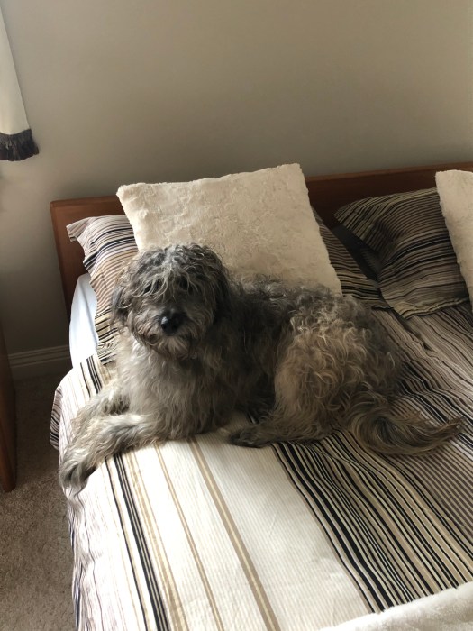 836F6018-3B26-42ED-AA8A-DFF76530F0F0