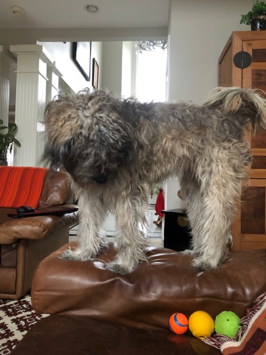 9231656A-8F4E-443C-BD15-73E9F05A05D8