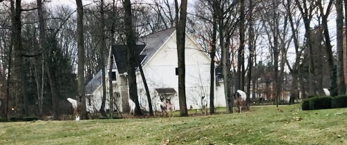 A8377D14-F4CC-45BA-AB0C-9DD28C8A07D0