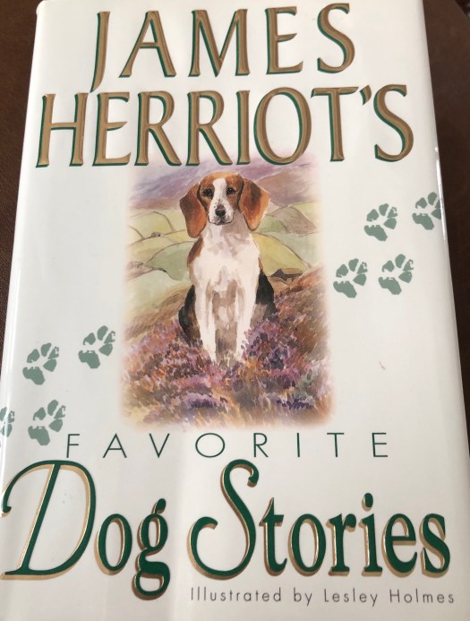 F63CB3B0-FDBF-4FB2-B1C8-46659832AF3C