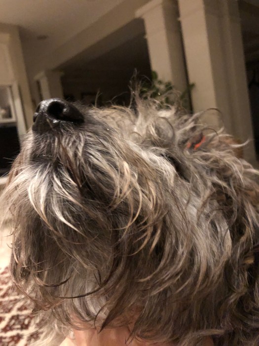 0015EAEA-4E51-47E4-AB72-6B3C1EEF5A91