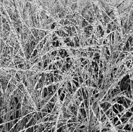 066B38D0-B458-461C-B06F-ED1EDFEA8287