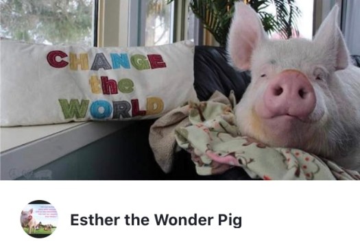 089AEDA4-F57A-4C85-A7AD-6E0A84A78778