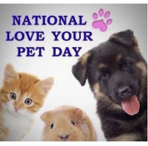 16A4B384-8487-4895-A3E4-1AEE1EB4EB7B