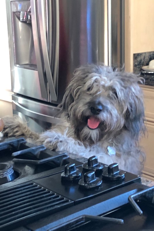 1B631ABA-D519-4761-91A3-245B60F5E19F