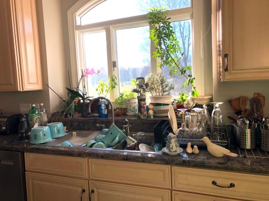 275EF7DB-26E8-42BB-93DE-7B9C6EB07AAA