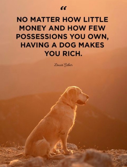 32EE16B6-168A-4C60-B18A-4076C1E11603