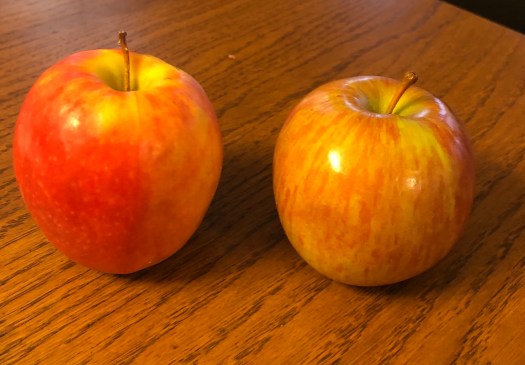 358A5204-CA34-46D4-AA5D-0730B428ED13