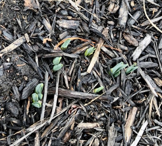 471D95DD-C7C2-4FD4-883B-32979594A855