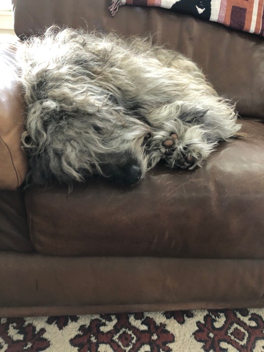 55FDBDBE-E22B-488D-8F76-ADBACC66C725