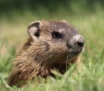 650C1E37-06E0-4588-BC1D-7CB232B4FAE9