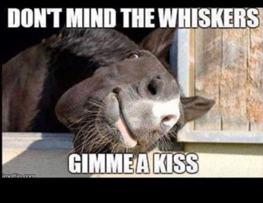 675352BF-77A5-4B29-A3A0-36EA55109D3B