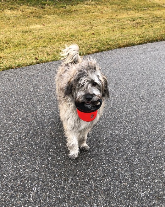 743F8AC2-F476-4CA4-A08D-8107D3FF7AD1