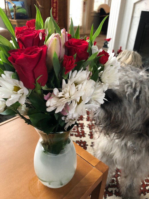 89DC3441-6CB3-4D99-9387-E778D6056A29