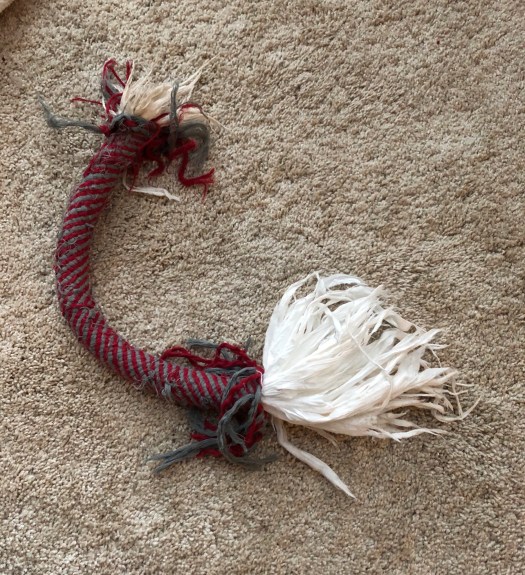 94348D64-3843-4CAF-8368-EC3F9134A589