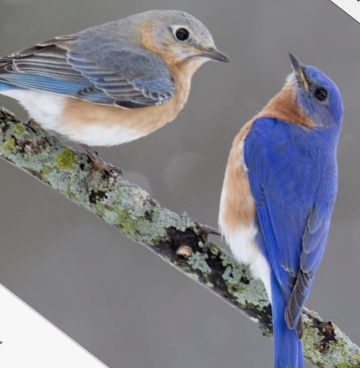 A18709F1-276C-403C-88D2-E1E07265755C