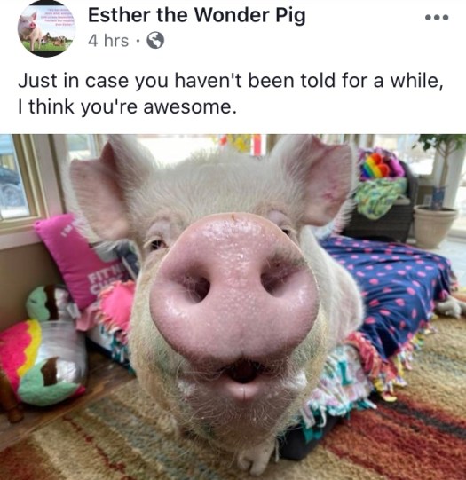 A2CB2B79-7452-4E9F-8F01-F08D4F0F873F