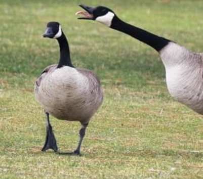 A3F5A22C-684E-4DE1-8362-FCC484D9DEDE