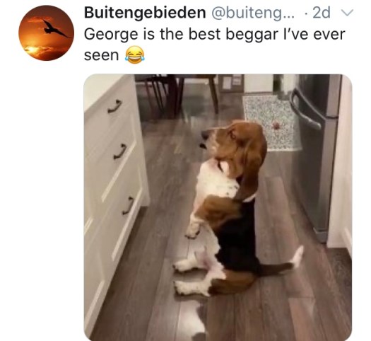 C2EAB377-D80B-4F90-8CA1-9B593AFD488D