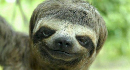 C8ACD7E4-945C-4F57-A5CD-923810B92153