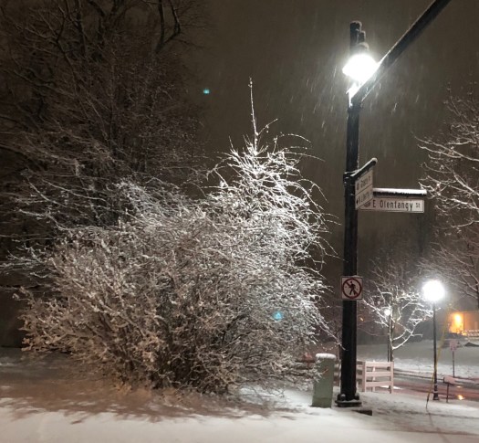 D5D813BD-07F0-4F40-ACA3-1CE9C9BE5B4F