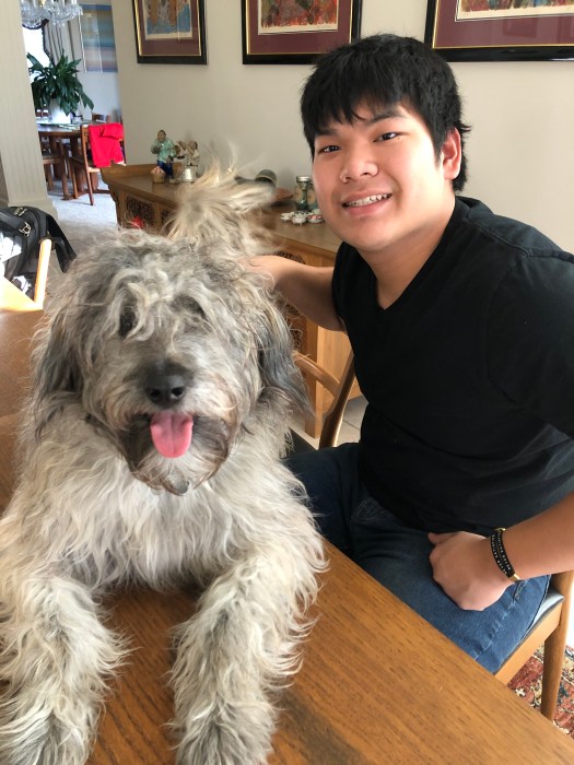 E61032F5-D4DB-4778-994C-A940DA5DB4DF