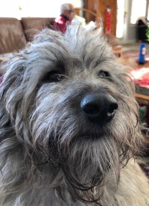 F6DDF9F9-934A-4BFF-AFEA-7F413E0CC67D