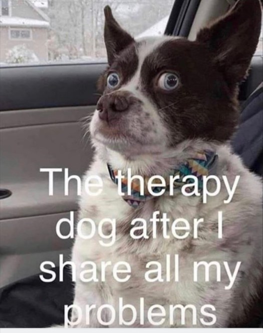 F7F18B31-FC9F-4FE8-9C14-16F82BD3AAC5