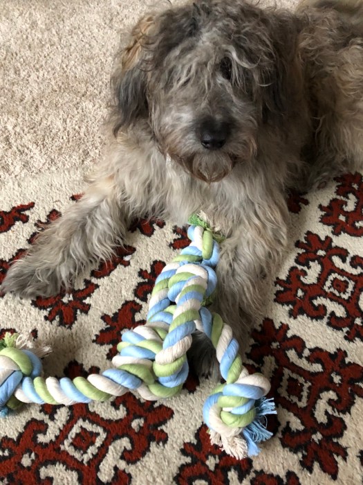 F9F9810C-F861-4FCD-AE87-B19BEFA6B353