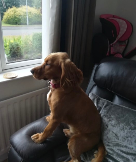 FD6E12D7-B1C4-4B73-820E-948A8AAD7454