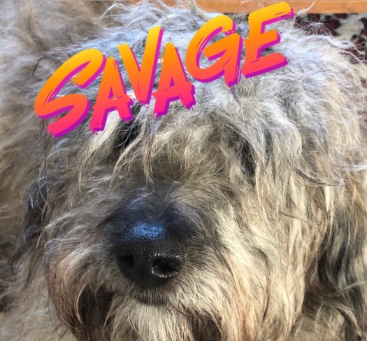 00F6DBEA-3A62-46E4-8130-C3DF4EE6BAA9