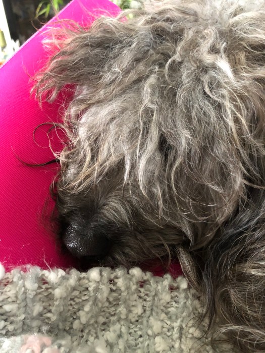 0301D1D8-5C71-4D77-B597-D4F1AC64B1ED