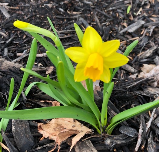 12FEC0B2-B119-4D34-B5A0-BFB244ACF937