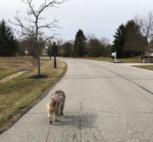 169AF253-9FE7-4A9C-B2C6-FB43F5EFD444